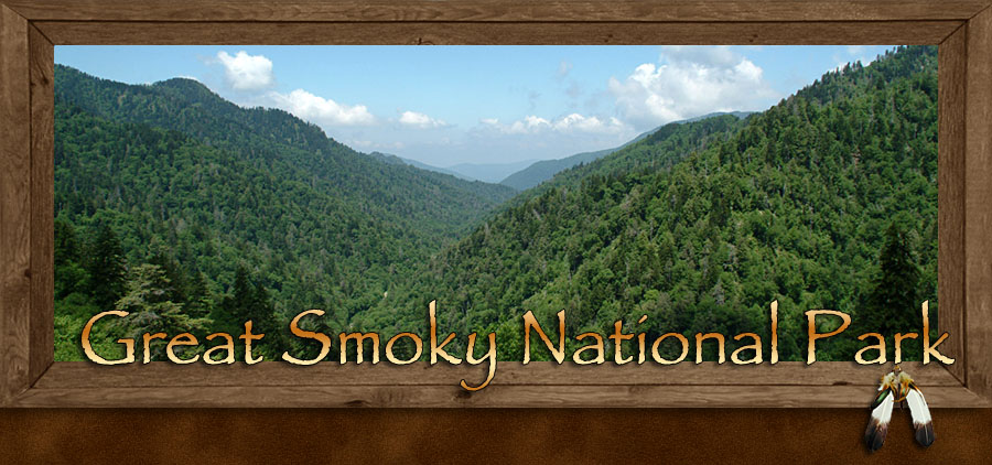 Great Smoky Mountains