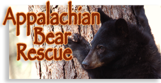 Appalachian Bear Rescue