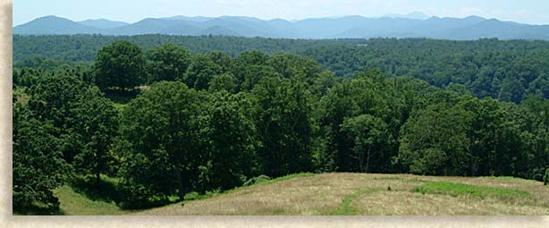 Blue Ridge Mountains at Biltmore Estate