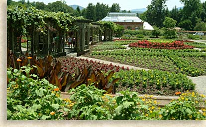 Rose Gardens at Biltmore Estate