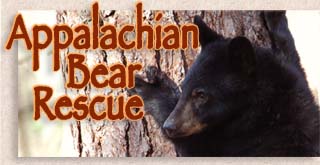 Appalachian Bear Rescue