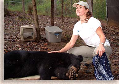 Caring for her bears