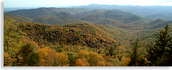 Forest Heritage Scenic Byway