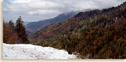 Newfound Gap below Clingman's Dome