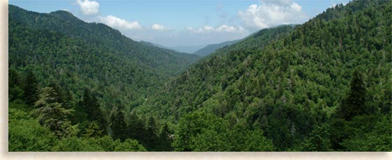 Smoky Mountains in the Summer