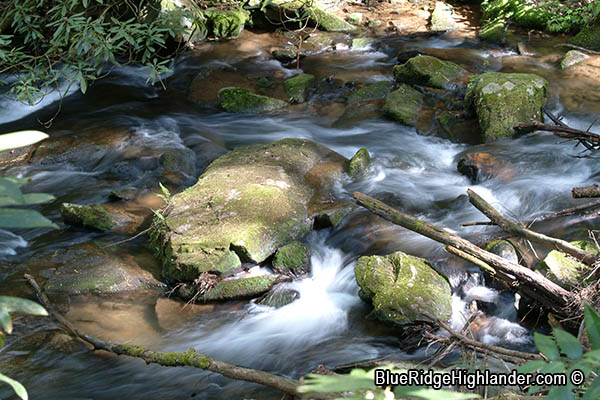 Stanley Creek in Blue Ridge Georgia