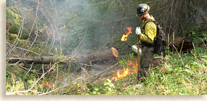 Controlled Burns