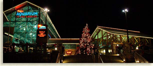 Gatlinburg Aquarium