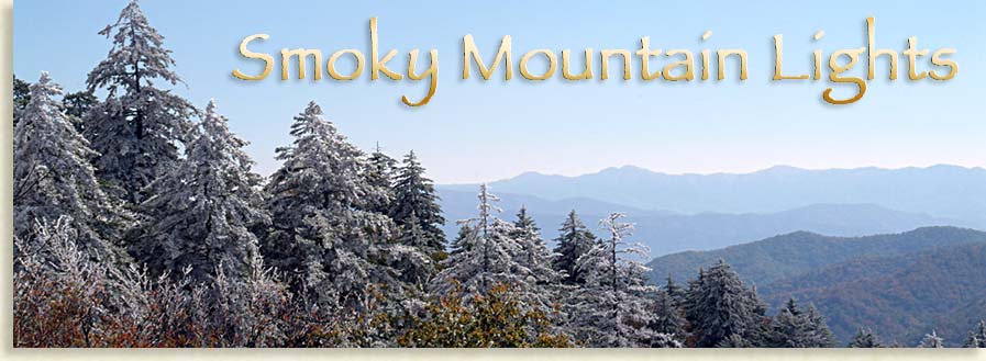 Smoky Mountain Winter