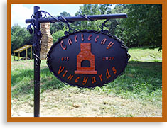 Cartecay Vineyard