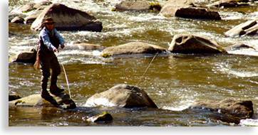 Fly Fishing in Banner Elk North Carolina