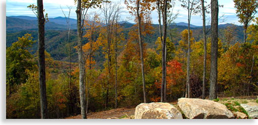 Historical Avery County North Carolina