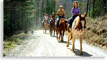 Horseback Riding