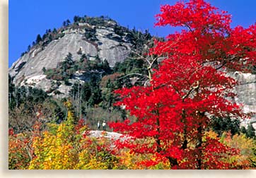 Grandfather Mountain