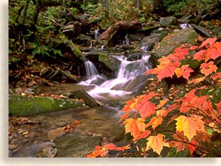 Grandfather Mountain