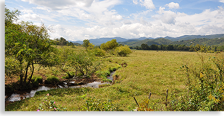 Valley River Country