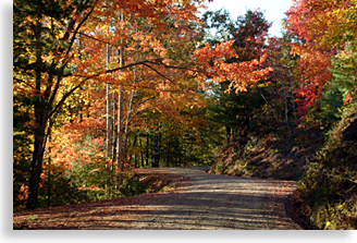 Unicoi Gap Road