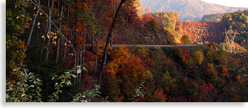 Unicoi Gap Road