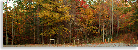 Unicoi Gap Trail