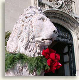 Aslan the Lion in Asheville North Carolina