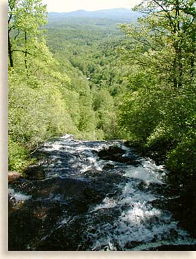 Amicalola Mountain