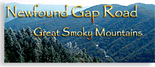 New Found Gap in the Smoky Mountains of Western North Carolina