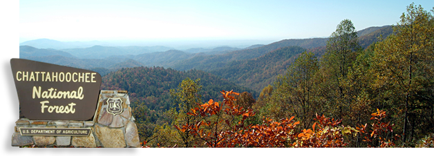 Chattahoochee National Forest in Fannin County