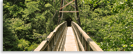 Fannin County Swinging Bridge