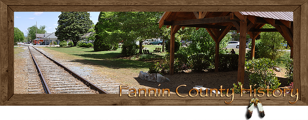 Fannin County Georgia History