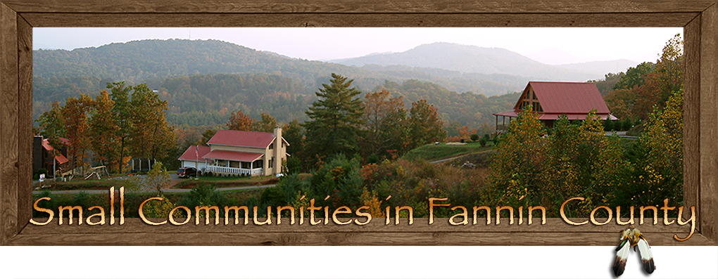 Small Communities in Fannin County