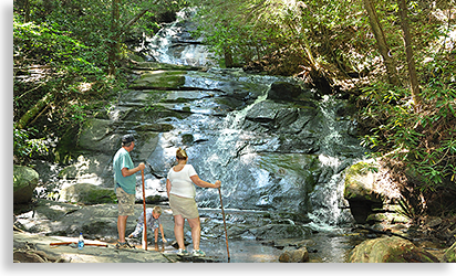 Falls Branch Falls Waterfall