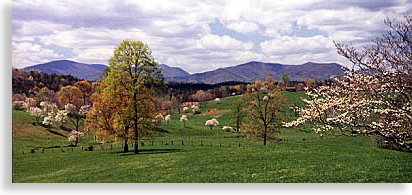 fannin county mountains