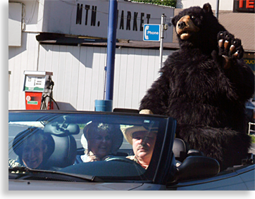 Gatlinburg Tennessee  Bear