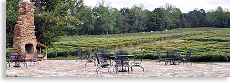 Cartecay Vineyard Patio