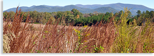 Rich Mountains in East Ellijay