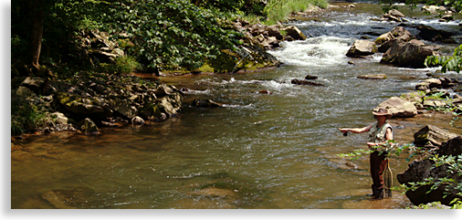 Fly Fishing on the Nantahala