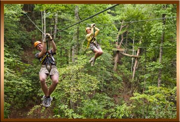 Canopy Tours