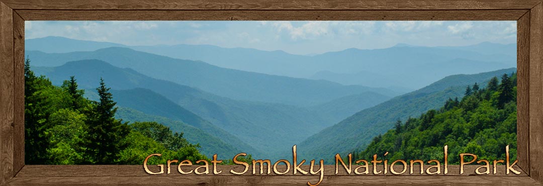 Great Smoky Mountain National Park