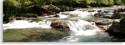 little pigeon river