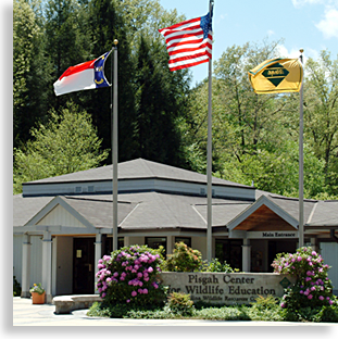 Pisgah Center for Wildlife Education