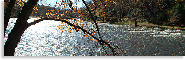 Tuckasegee River Communities