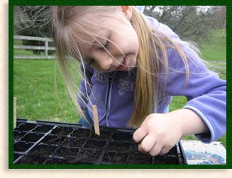 Covering with Dirt