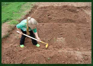 Planting an organic garden in the Blue Ridge Mountains