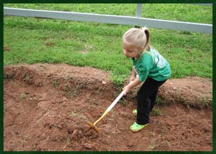 Planting an organic garden in the Blue Ridge Mountains