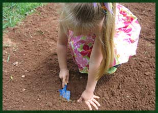 Planting an organic garden in the Blue Ridge Mountains