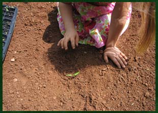 Planting an organic garden in the Blue Ridge Mountains