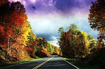 autumn road