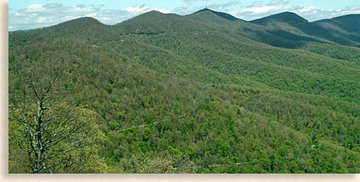 Blue Ridge Parkway Wagon Gap Overlook