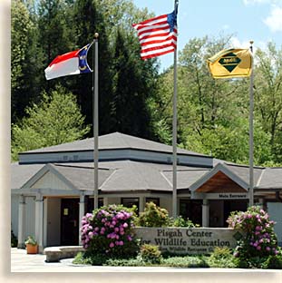 Pisgah Center for Wildlife Education