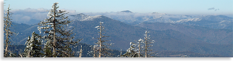 Clingmans Dome in the Great Smoky Mountains